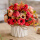 红色菊花苞+花瓶