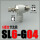 SL6-G04