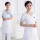 白色护士裙短袖（不含护士帽）