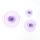 10#紫色，大中小各10个