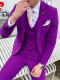 紫色(外套+裤子+衬衫)