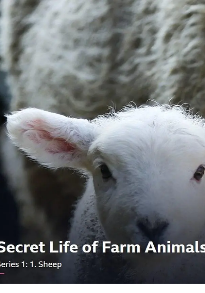 农场动物的秘密生活