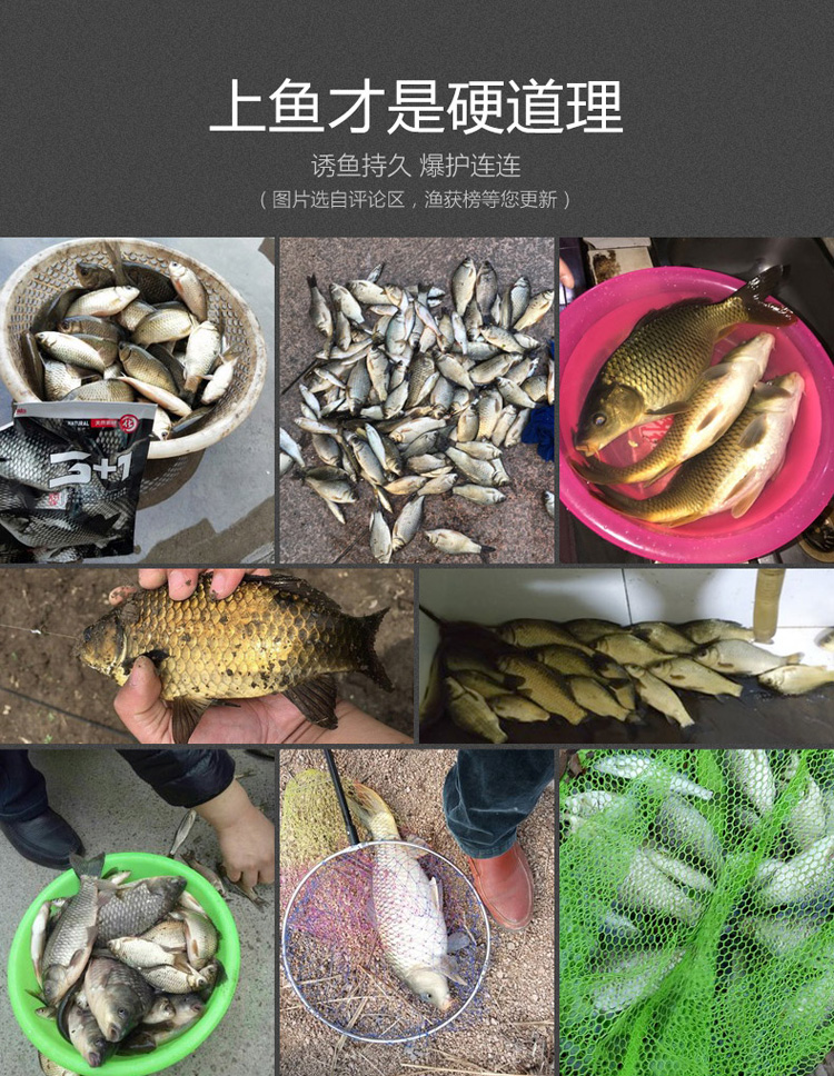 餌料18新品31綜合餌腥香味釣餌春季鯽魚化紹釣魚配方野釣魚料魚餌化氏