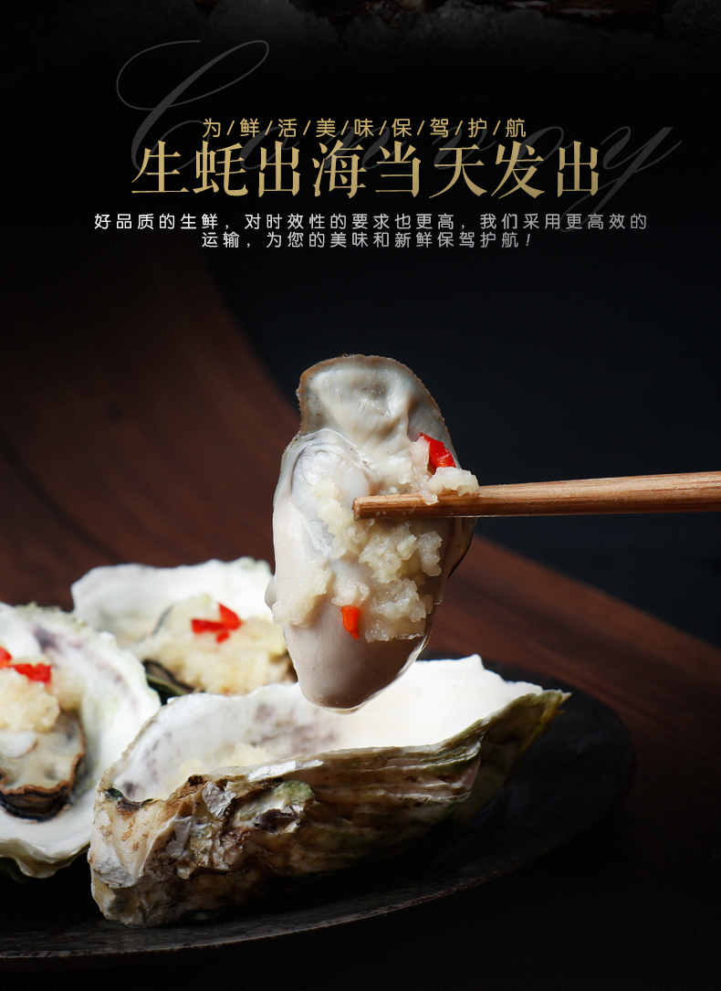 【活鲜】海鲜颂 鲜活刺身生蚝海蛎 梅岭牡蛎 冷水蚝 刺身生蚝2.
