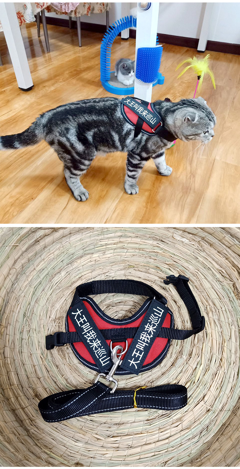 猫绳防逃脱背心式猫链防挣脱宠物猫咪外出用品背带式牵猫绳胸背带链子