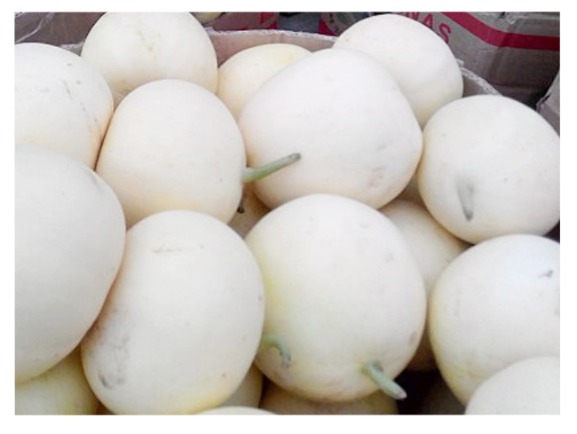 白甜瓜种子雪蜜美玉208白雪公主甜瓜薄皮肉质嫩盆栽小菜园雪蜜20850粒