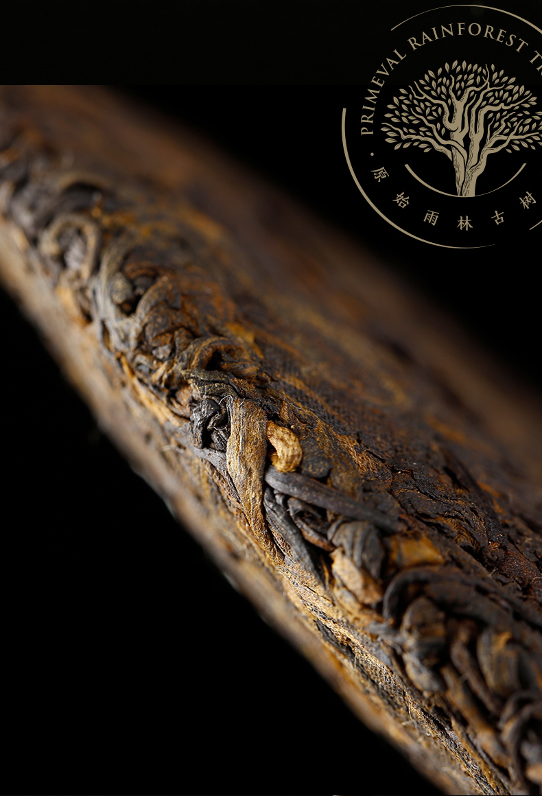 雨林古树茶普洱熟茶5年陈熟饼2016年伏羲357g