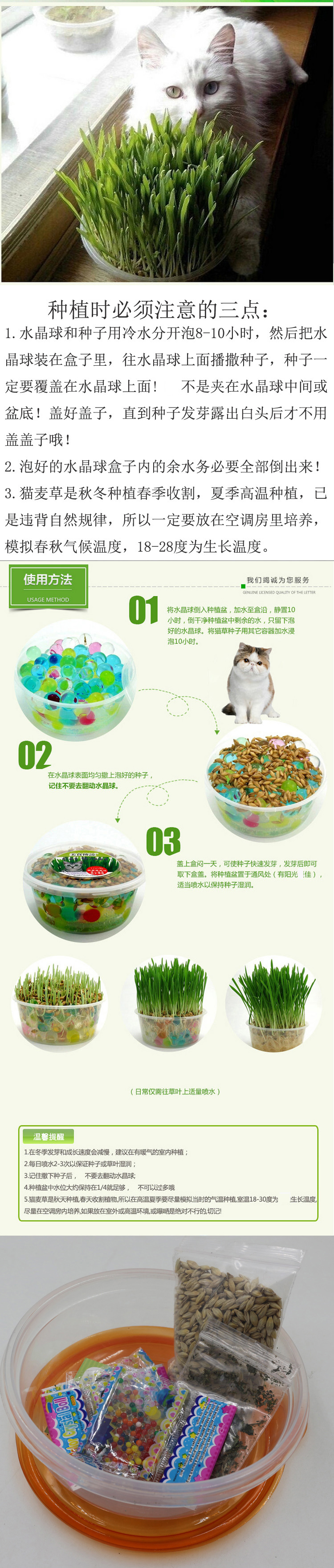 羿圆猫玩具逗猫棒仿真老鼠猫抓板猫爬架猫草猫薄荷剑麻球猫咪磨爪子磨牙解闷玩具猫抓板 薄荷球 木天廖 图片价格品牌报价 京东