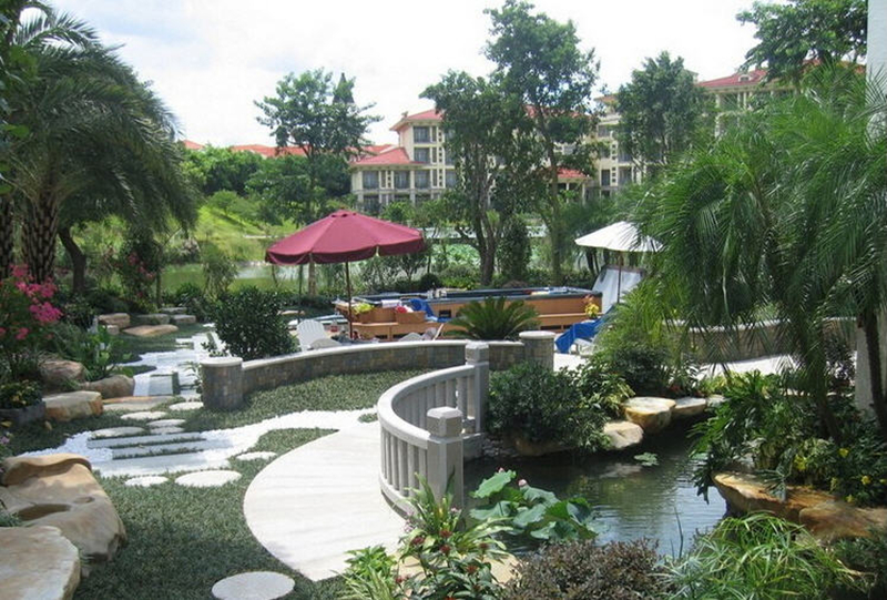 麦冬草玉龙草日本矮麦冬草细叶麦冬草金边麦冬四季常绿耐寒 细叶麦冬