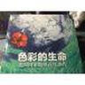 色彩的生命：美国国家地理百年杰作 实拍图