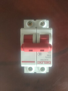 德力西电气空气开关 2p家用单相总闸开关空开断路器空气开关 40a